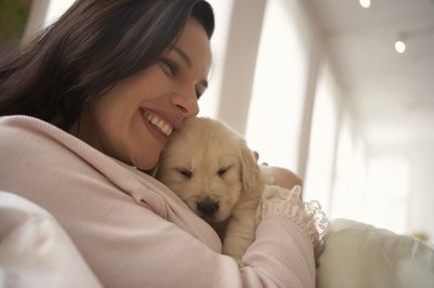 Chris Amaral/Digital Vision/Getty Images Greetings can be very exciting from your pup's perspective.