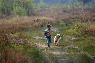 David De Lossy/Valueline/Getty Images Your dog may encounter a wide variety of plants while outdoors.
