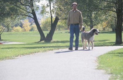 Hemera Technologies/AbleStock.com/Getty Images A walk in the park with Buddy benefits both of you.
