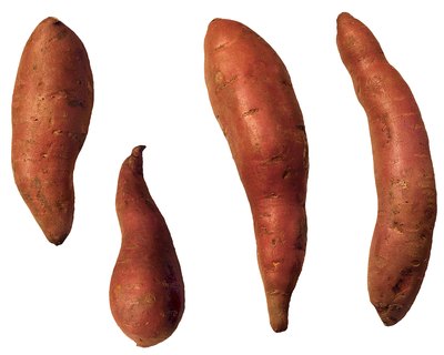 Brand X Pictures/Brand X Pictures/Getty Images When dried in little discs, sweet potatoes make healthy and crunchy treats.