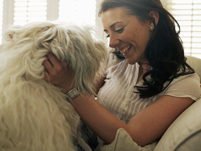 John Howard/Digital Vision/Getty Images Look for a sitter who is at ease and comfortable with your dog.