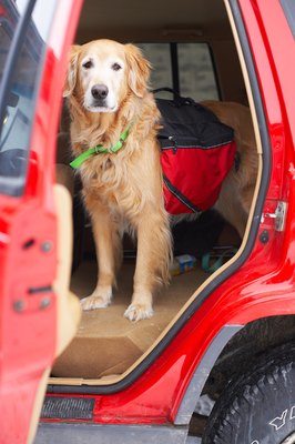 Jupiterimages/Photos.com/Getty Images Give your puppy her own place to ride safely in the car.