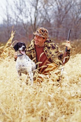 Jupiterimages/liquidlibrary/Getty Images Hunting and sporting dogs have an increased risk for blastomycosis.