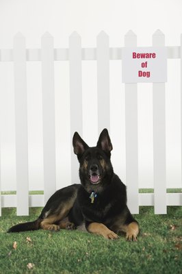 Comstock Images/Comstock/Getty Images A good guard dog is not impossible to train.