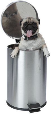 PhotoObjects.net/PhotoObjects.net/Getty Images It's definitively time to invest in a dog-proof trash can.