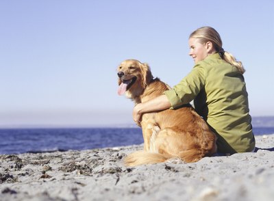 Ryan McVay/Photodisc/Getty Images There are a variety of diseases and conditions that can cause your pup to digest fats poorly.