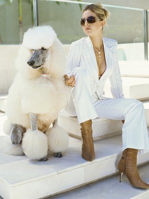 Stockbyte/Stockbyte/Getty Images Some breeds have very specific grooming standards unique to them.