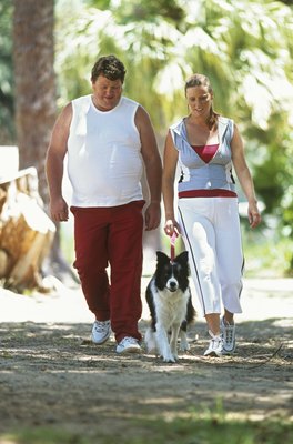 Stockbyte/Stockbyte/Getty Images Risk factors for stroke in dogs, like humans, include obesity and heart disease.
