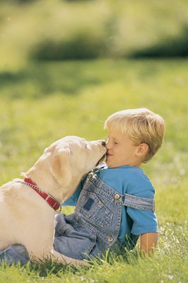 Comstock/Comstock/Getty Images A lick here, a lick there... Doggie could just be saying "I love you!"