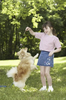 NA/Photos.com/Getty Images A tasty treat will instantly get your puppy's attention.