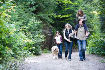 Jupiterimages/Photos.com/Getty Images Tempt your pup with a healthy trail mix treat.