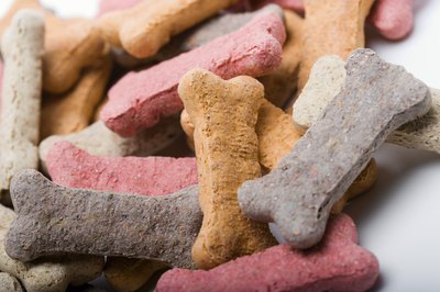 Jupiterimages/liquidlibrary/Getty Images Always store pet food properly to prevent it from spoiling.