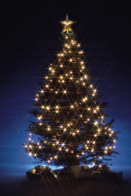 Comstock/Comstock/Getty Images A common Christmas tree, the Norfolk pine poses a toxic risk to your dog.