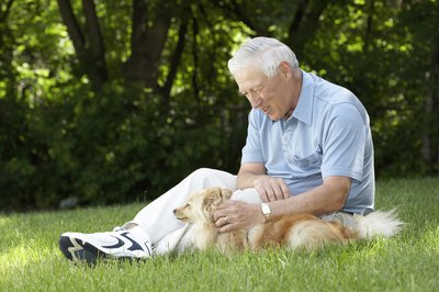 Jupiterimages/Photos.com/Getty Images Plan to spend some time training your dog to the electronic system.