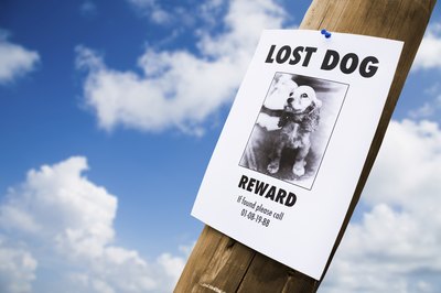 fergregory/iStock/Getty Images A 2009 study revealed 75 percent of microchipped pets are reunited with owners.
