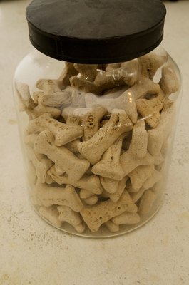 Jupiterimages/Photos.com/Getty Images Dog biscuits should be hard and crunch, so they don't require yeast.