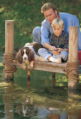 Comstock/Comstock/Getty Images When algae blooms rest on the surface of the pond, keep your dog away from the water.