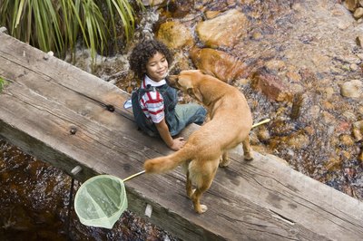 Jupiterimages/BananaStock/Getty Images Selamectin protects dogs from parasites outdoors.