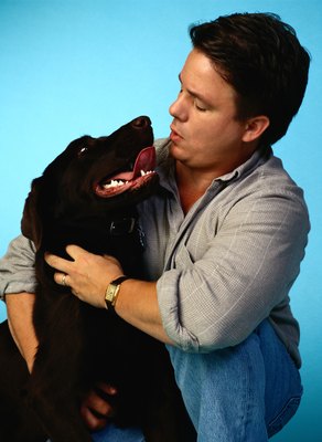 Ryan McVay/Photodisc/Getty Images Flat-coated retrievers are easy care.