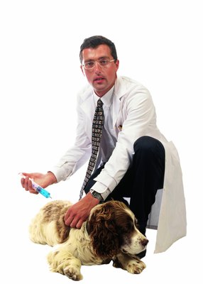 Stockbyte/Stockbyte/Getty Images Protect your dog from vaccine side effects by being an informed owner.