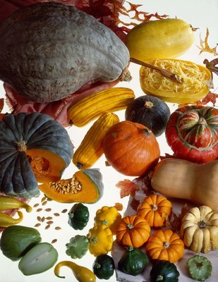 Jupiterimages/Comstock/Getty Images Your pooch may love the taste of squash. You'll like its nutritional value.