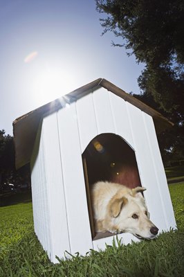 Brand X Pictures/Brand X Pictures/Getty Images Doghouses offer an escape from the blistering sun, but they're not permanent homes.