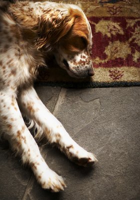 Thomas Northcut/Photodisc/Getty Images Lethargy is a common symptom of uremia.