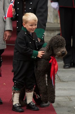 Ragnar Singsaas/Getty Images Entertainment/Getty Images Wavy, wooly, curly or straight -- the labradoodle's coat is a guess, just like his final size.