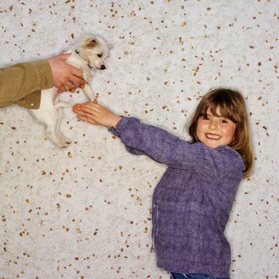George Doyle/Stockbyte/Getty Images Hold it right there! Make sure the puppy and child's age are ideal.