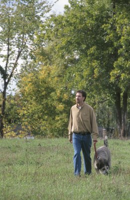 Hemera Technologies/AbleStock.com/Getty Images K9 Advantix helps protect from diseases carried by ticks, mosquitoes, fleas and lice.