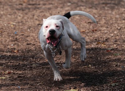 Bruce Bennett/Getty Images Entertainment/Getty Images Slow down buddy! It's dinner time.