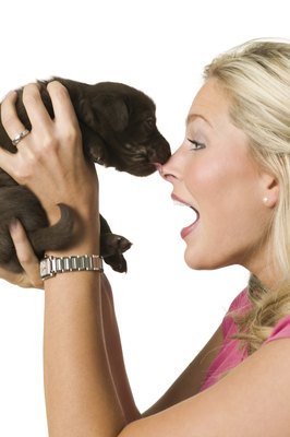 Photodisc/Photodisc/Getty Images Dog licks and kisses can't spread whipworms to human companions.
