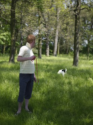 Michael Blann/Digital Vision/Getty Images Tick control is especially important in areas with brush or tall grass.