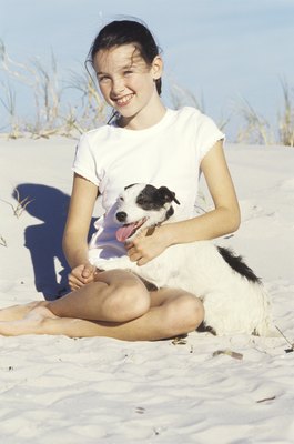 Ciaran Griffin/Stockbyte/Getty Images Pet approved sunscreens can help protect your dog's skin from the sun's harmful rays.