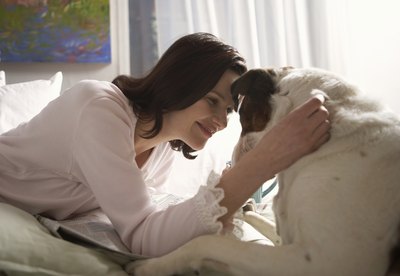Chris Amaral/Digital Vision/Getty Images Canine massage therapy can be healing for dogs living with arthritis.