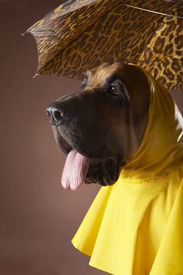 Chris Amaral/Digital Vision/Getty Images "Ready for the rain, Mom."