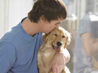 Digital Vision./Photodisc/Getty Images Sliding doors with dog flaps can increase heat loss.