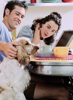 Ryan McVay/Photodisc/Getty Images A deodorizing spray reduces your dog's body odor between baths.