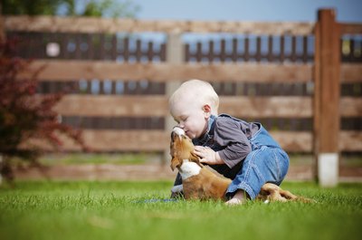 Aly Tyler/iStock/Getty Images Getting up close and personal with your dog won't put your child at risk for tapeworm.
