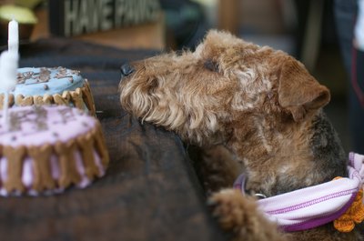 arc130/iStock/Getty Images His first birthday cake can be grown-up cake.