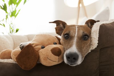damedeeso/iStock/Getty Images