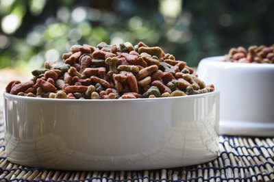 tiverylucky/iStock/Getty Images Several low protein diets are available for your dog's choosy palate.