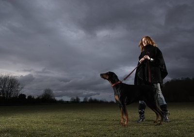 Thomas Northcut/Photodisc/Getty Images Dogs sense impending storms via their senses.