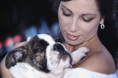 Medioimages/Photodisc/Valueline/Getty Images Hold smaller dogs during non-convulsive seizures to keep them from injuring themselves.