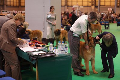 Dan Kitwood/Getty Images News/Getty Images