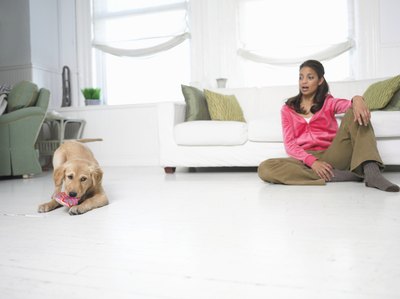 Digital Vision./Photodisc/Getty Images Consistency and training are the keys to helping your dog listen.