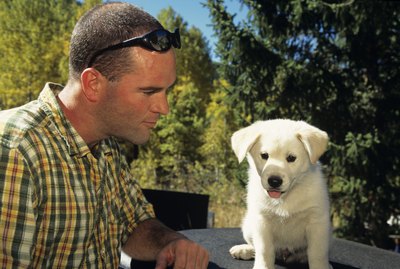 Karl Weatherly/Photodisc/Getty Images "He's watching me closely so I can't get in trouble."