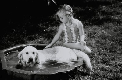 David De Lossy/Valueline/Getty Images Your dog can have a bath once his treatment has dried.