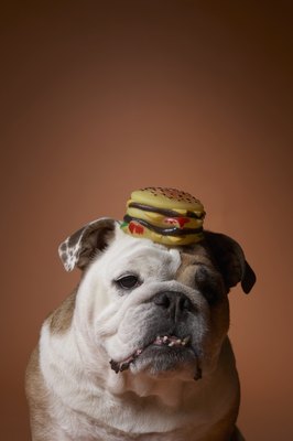 Chris Amaral/Photodisc/Getty Images Don't choose a toy based on cuteness alone.