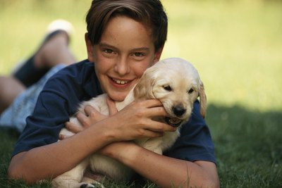 David De Lossy/Photodisc/Getty Images Avoid bringing your puppy to public places until he receives all of his parvo vaccines.